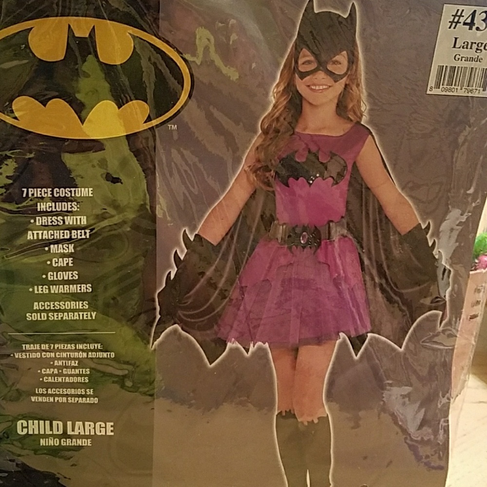 Batgirl costume